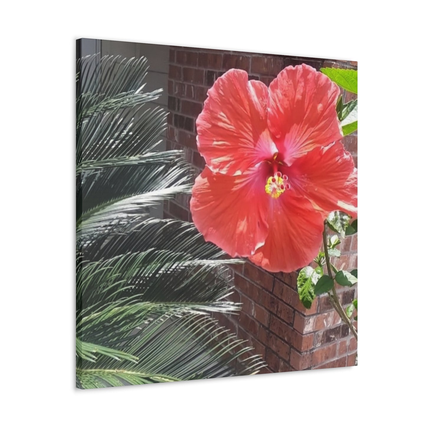 Art Prints & Wall Art, Gallery Canvas with Peach Hibiscus Flower