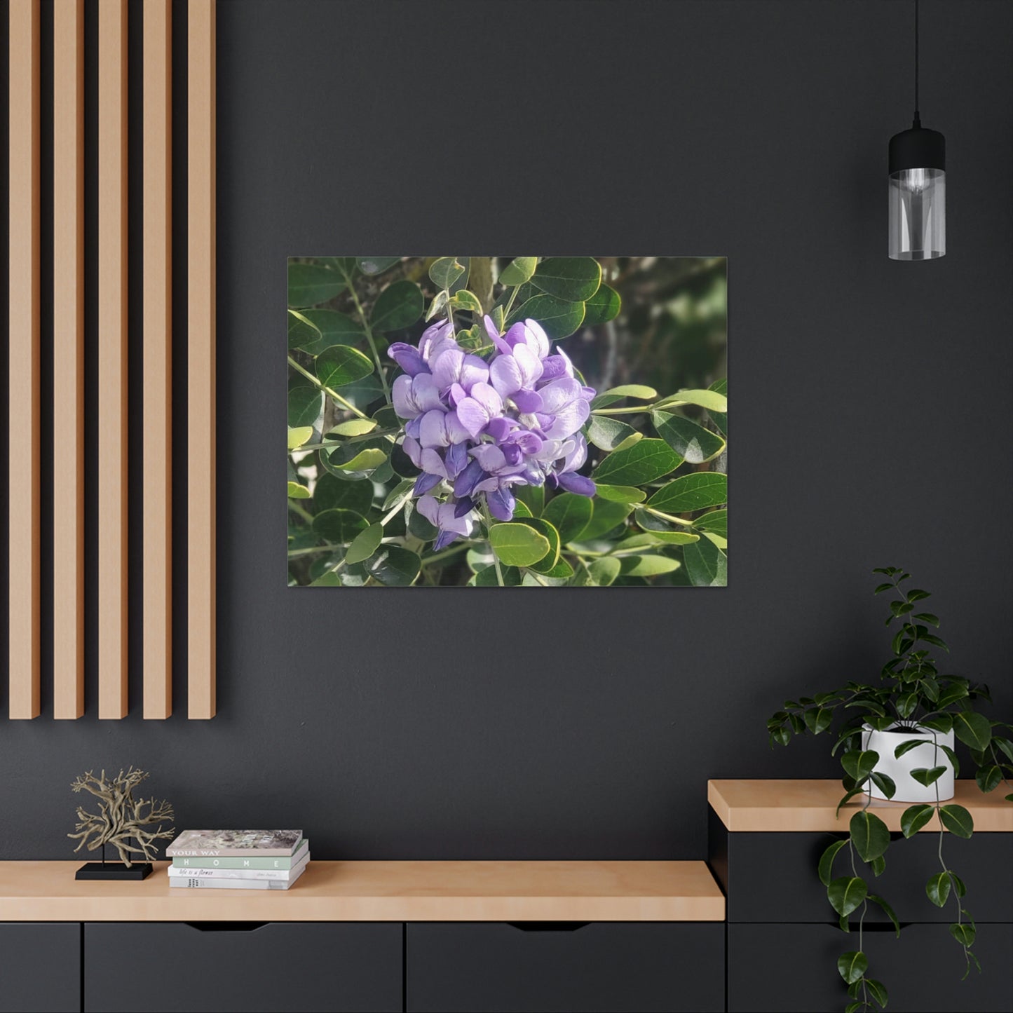 Purple Texas Mountain Laurel | Wall Art Canvas