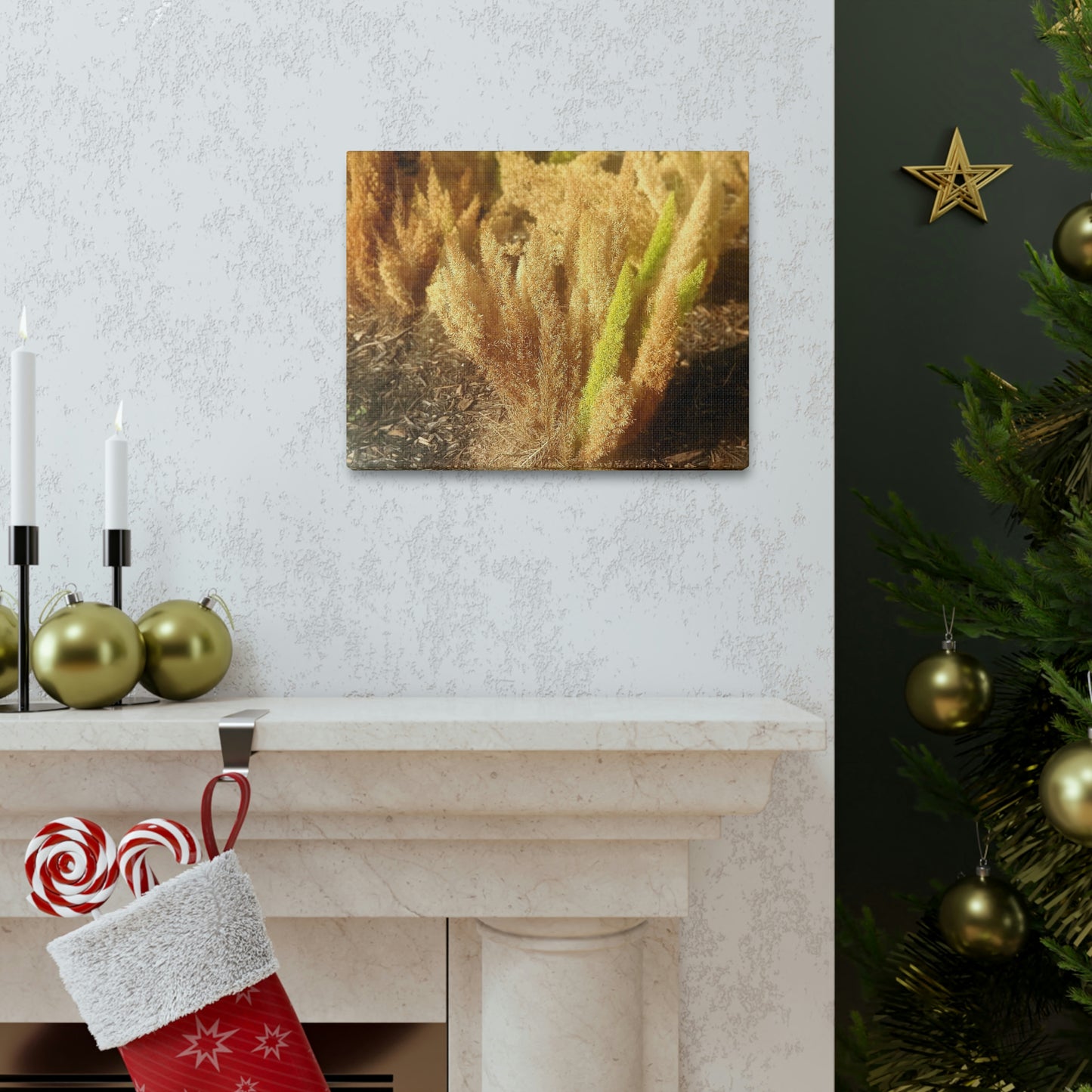 Golden Foxtail Fern | Wall Art Canvas | High Bloom Collection | Life By Ortavia
