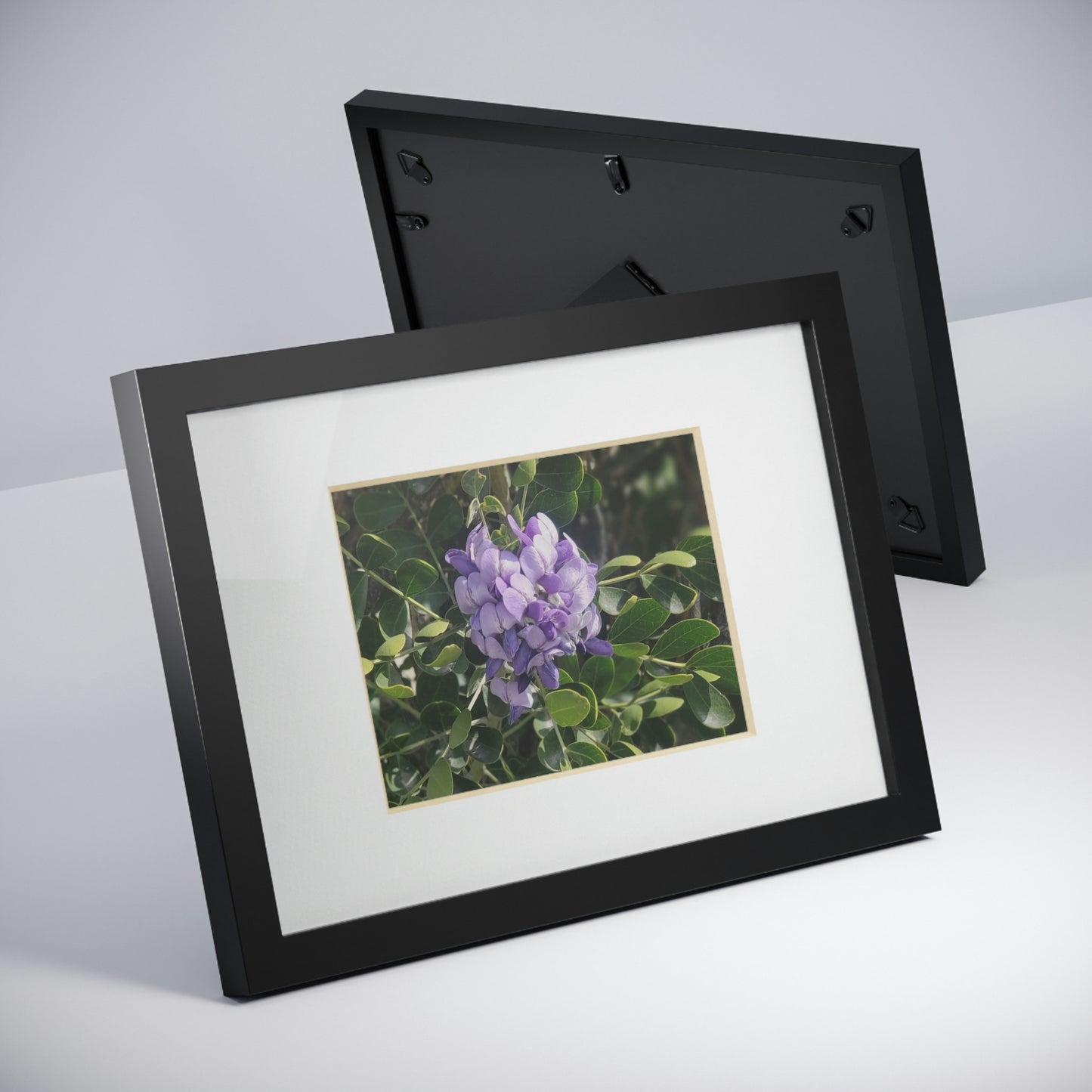 Framed Posters, Black