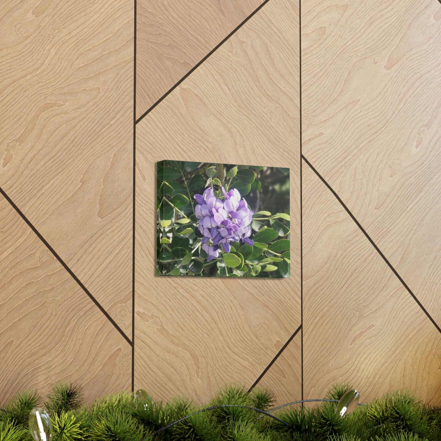 Purple Texas Mountain Laurel | Wall Art Canvas