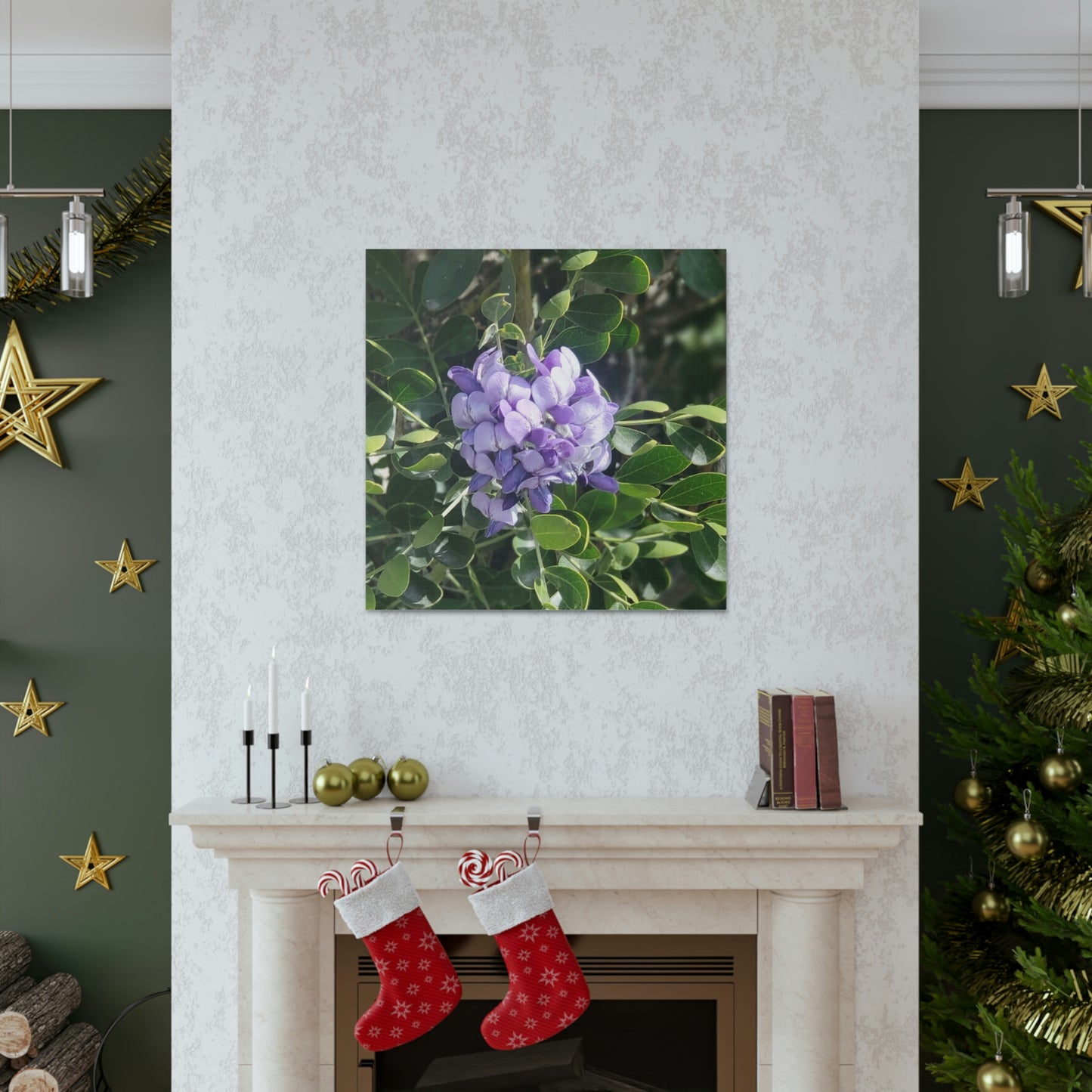Purple Texas Mountain Laurel | Wall Art Canvas