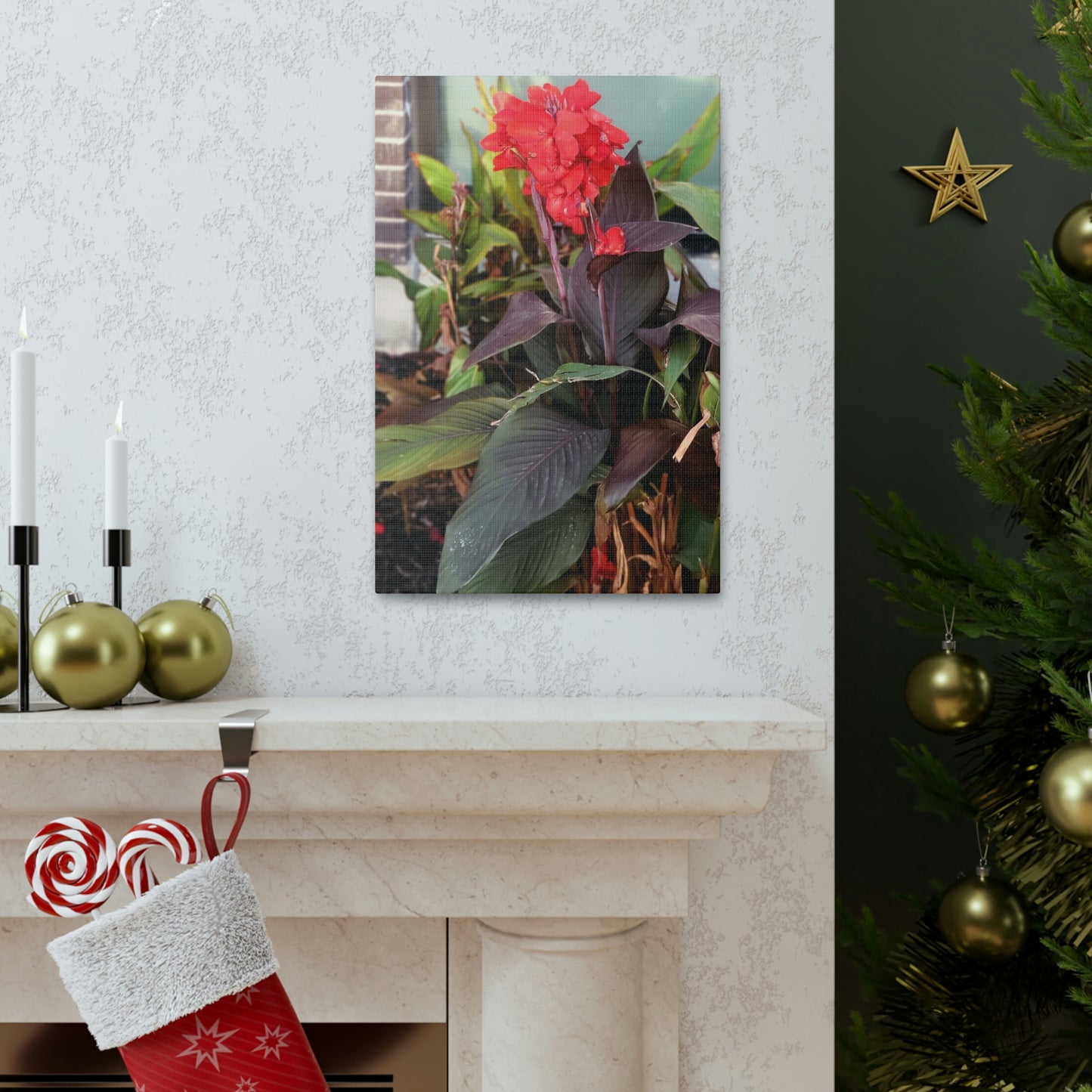 Red Canna | High Bloom Collection | Wall Art Print | Life By Ortavia