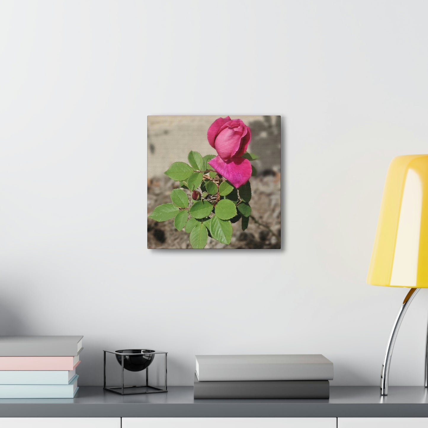 Dear Pink Rosa | High Bloom Collection | Canvas | Life By Ortavia