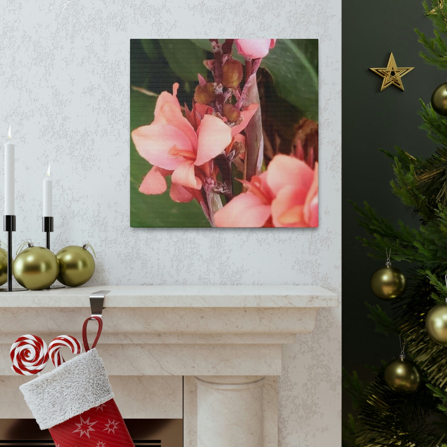 Art Prints & Wall Art, Canvas Gallery with Pink Canna Flower