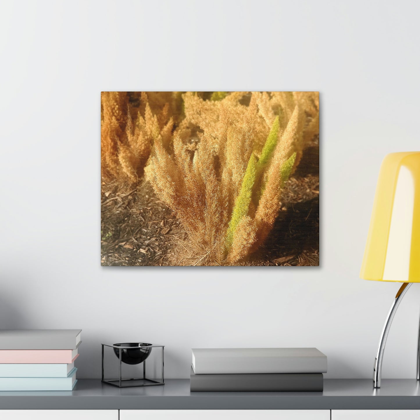 Golden Foxtail Fern | Wall Art Canvas | High Bloom Collection | Life By Ortavia