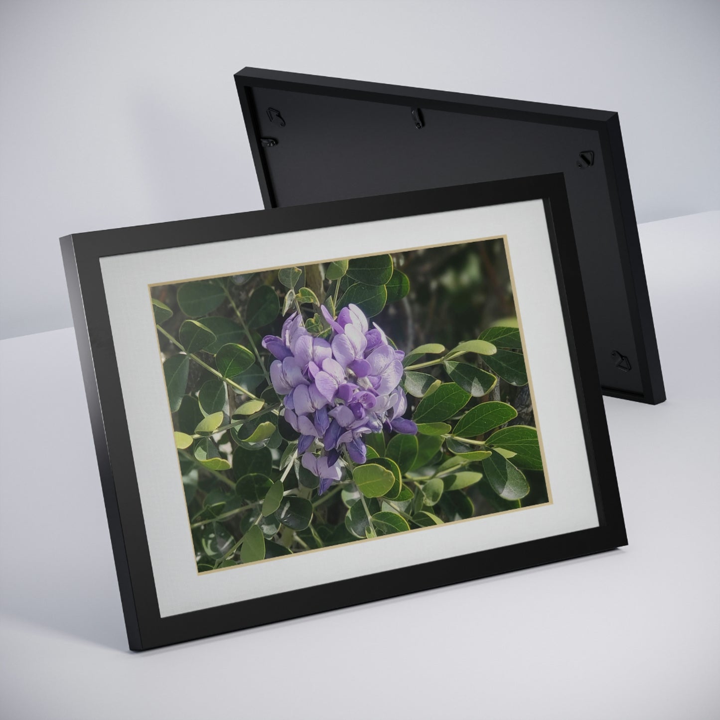 Framed Posters, Black