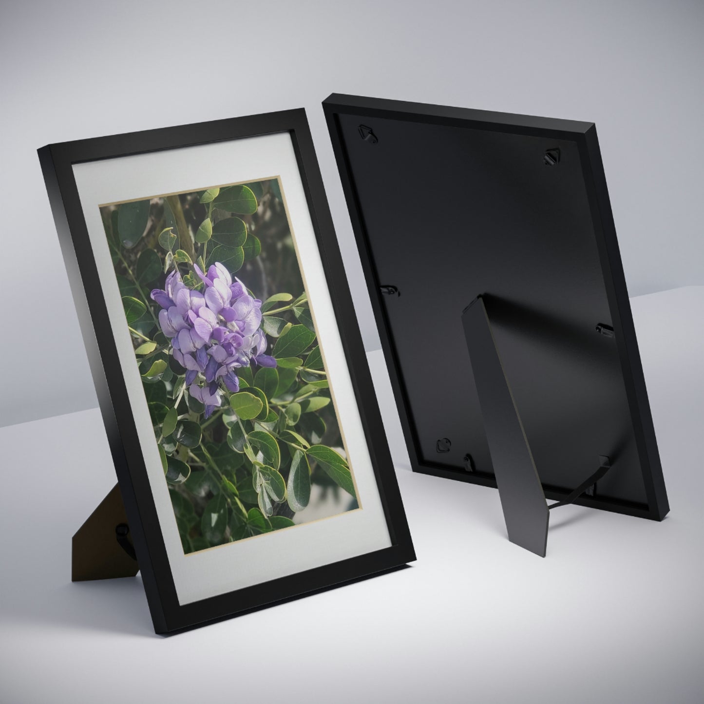 Framed Posters, Black