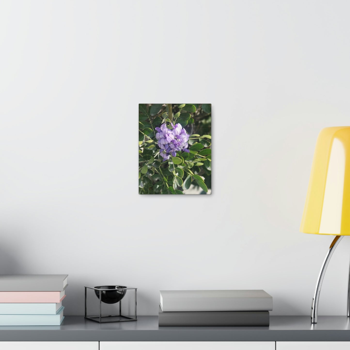 Purple Texas Mountain Laurel | Wall Art Canvas