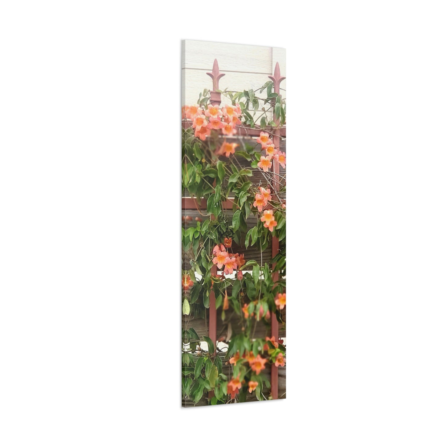 Flowers On A Rugged Fence | Wall Art Canvas | High Bloom Collection | Life By Ortavia