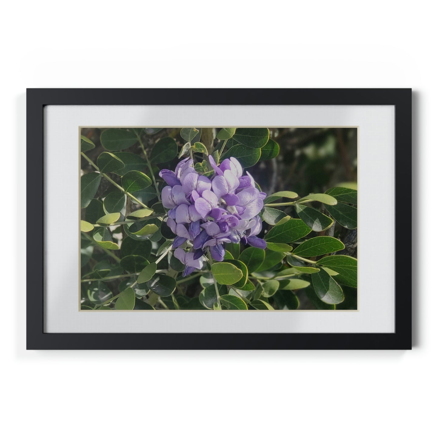 Framed Posters, Black