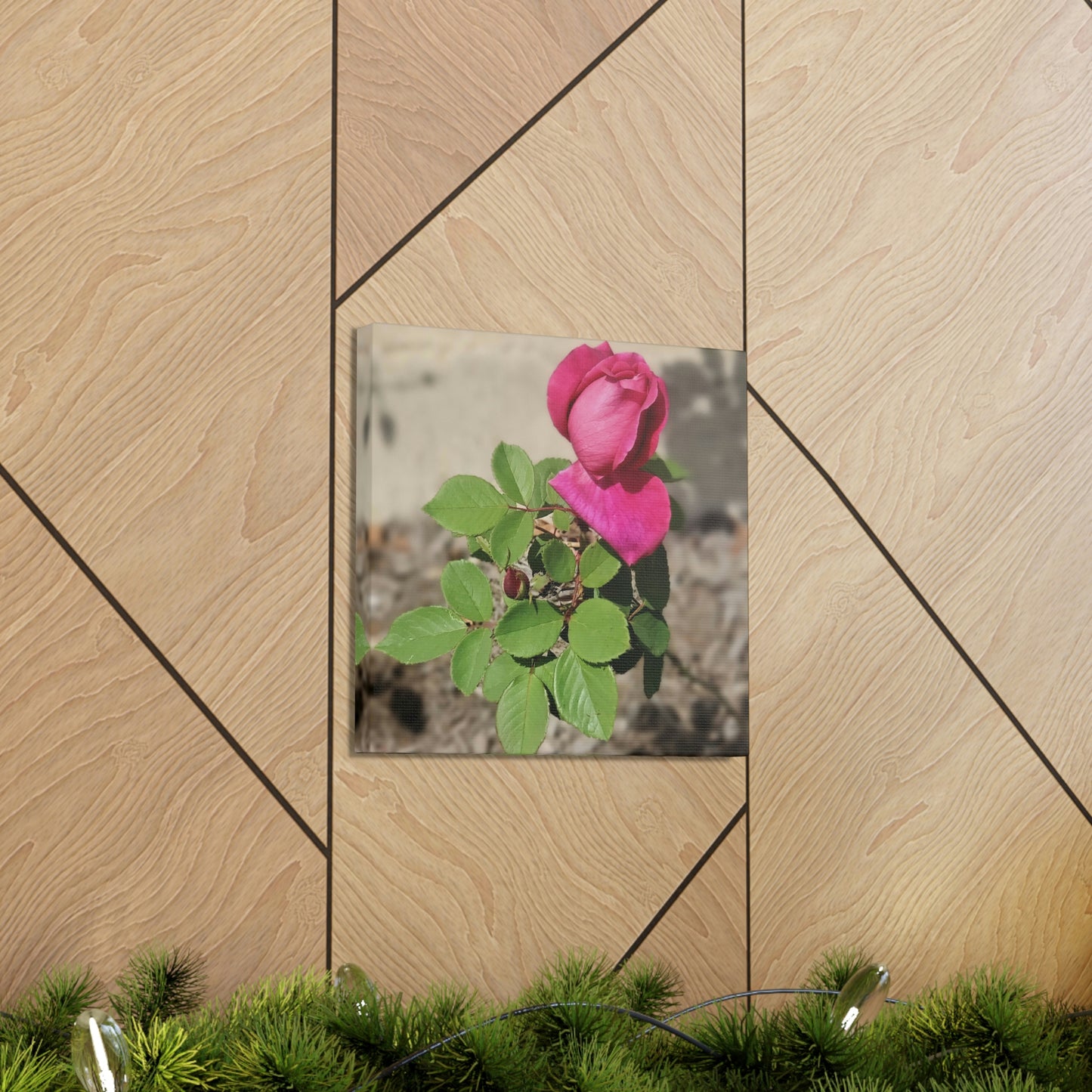 Dear Pink Rosa | High Bloom Collection | Canvas | Life By Ortavia