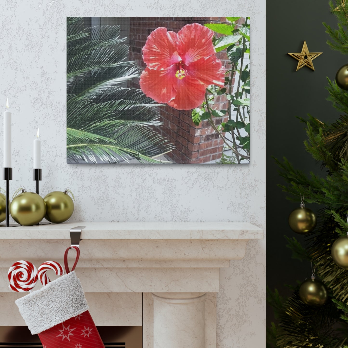 Art Prints & Wall Art, Gallery Canvas with Peach Hibiscus Flower