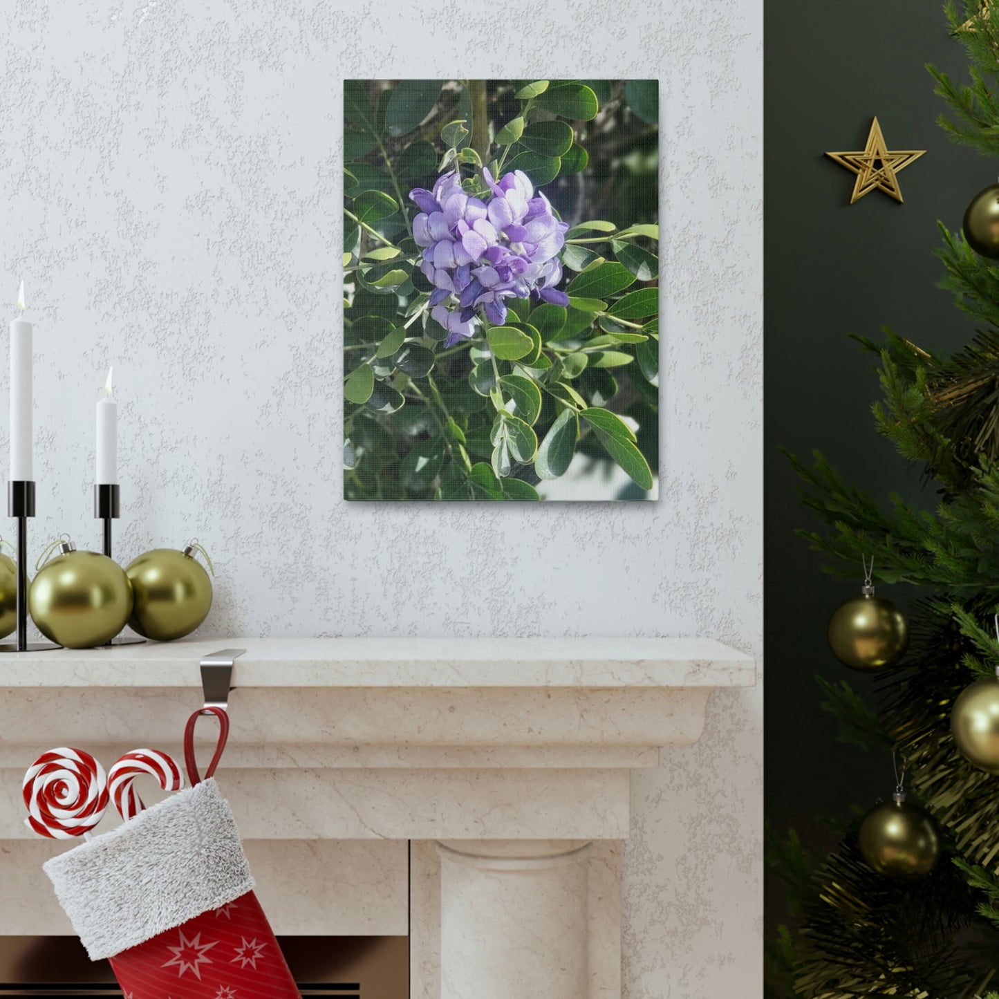 Purple Texas Mountain Laurel | Wall Art Canvas