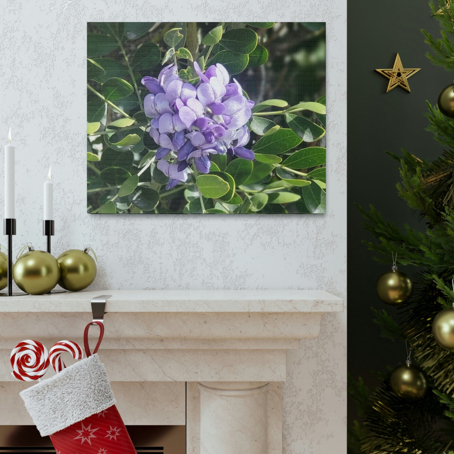 Purple Texas Mountain Laurel | Wall Art Canvas