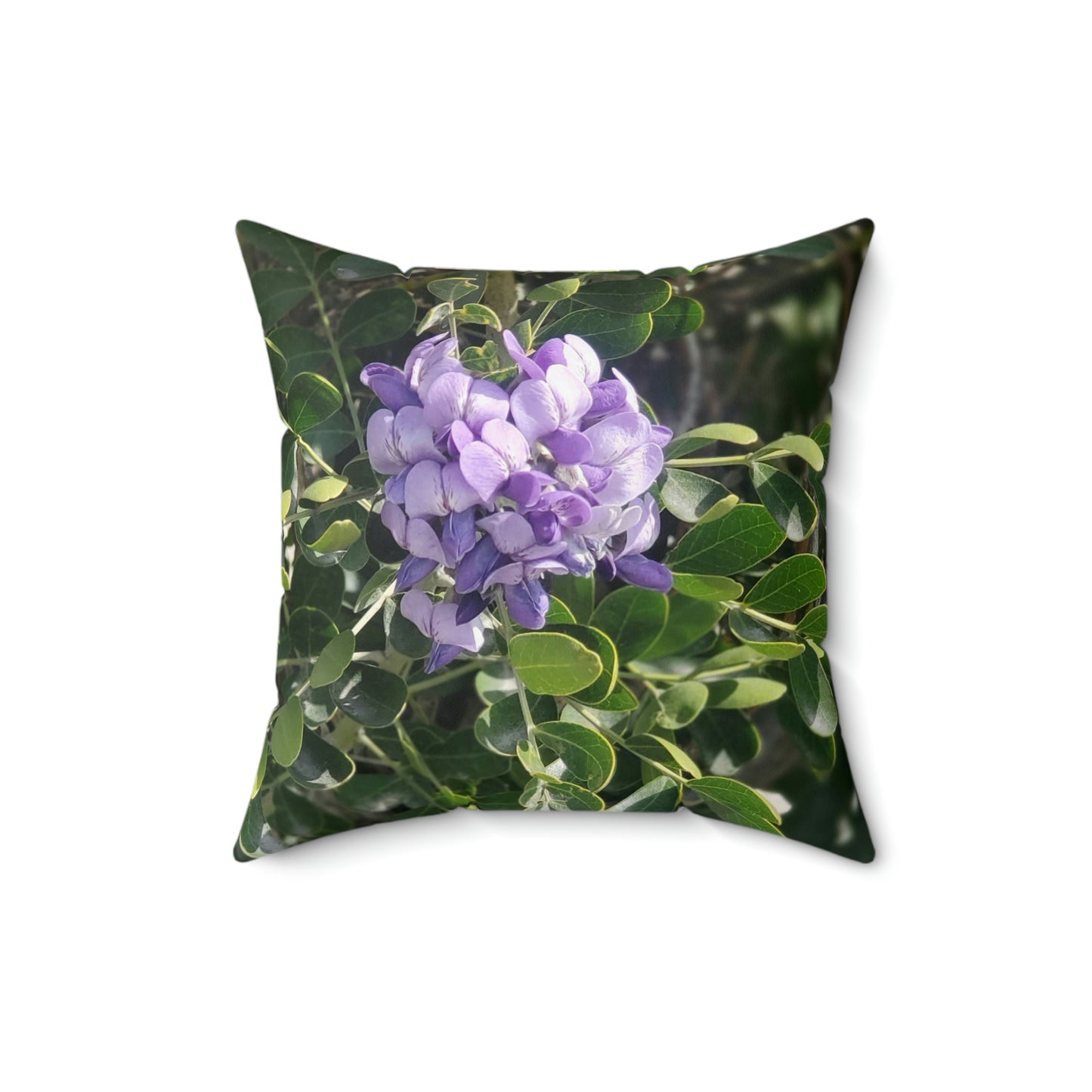 Purple Texas Mountain Laurel | Throw Pillow