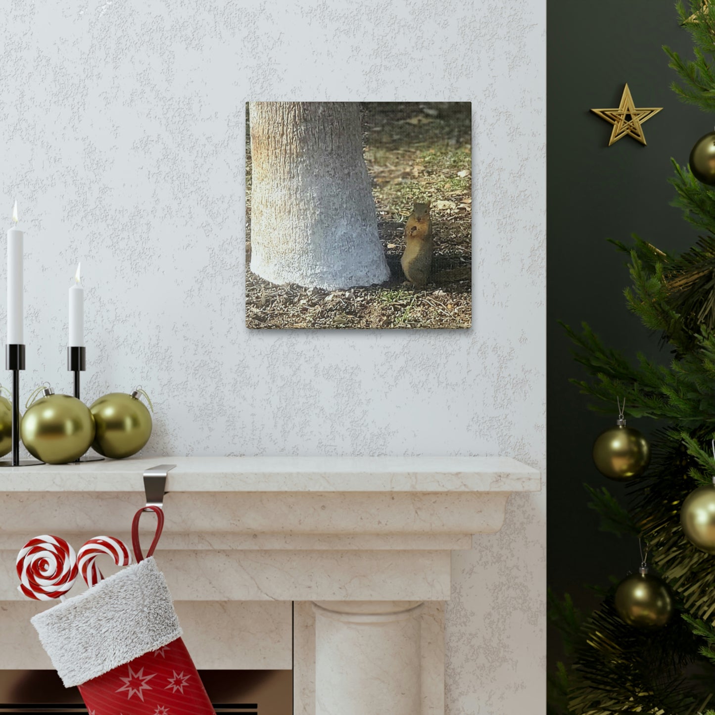 Squirrel and A Nut | Wall Art Print | Urban Geographic Collection | Life By Ortavia