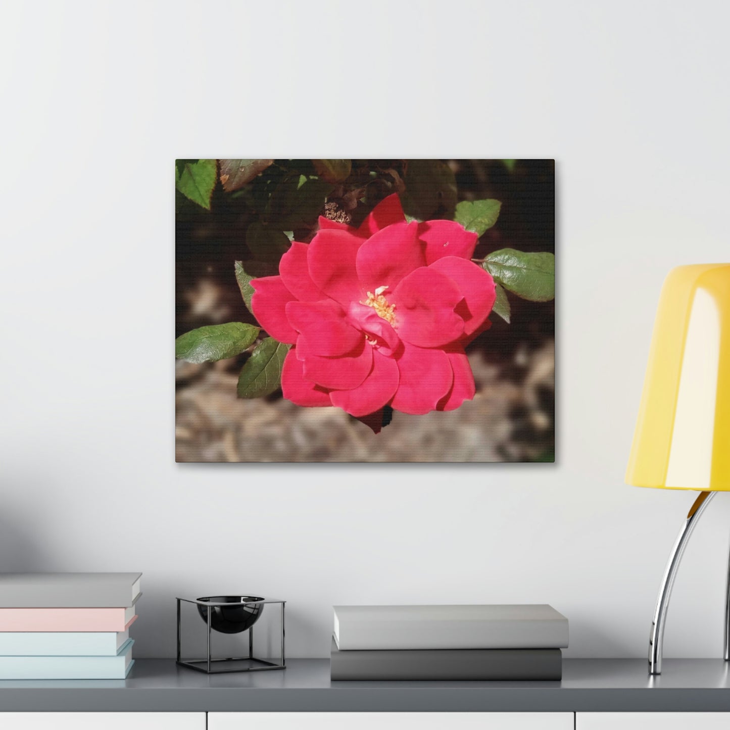 Knockout | Wall Art Print | High Bloom Collection | Life By Ortavia