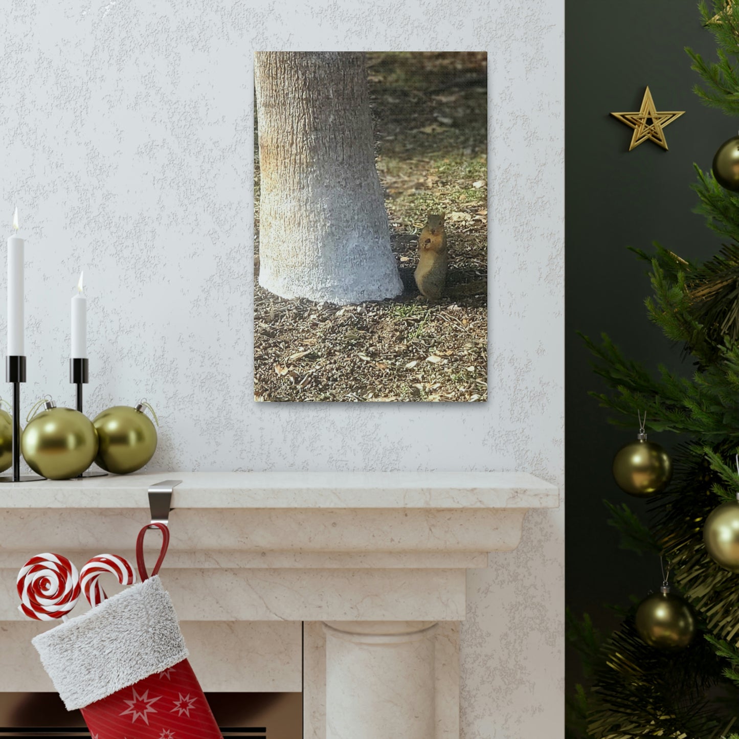 Squirrel and A Nut | Wall Art Print | Urban Geographic Collection | Life By Ortavia