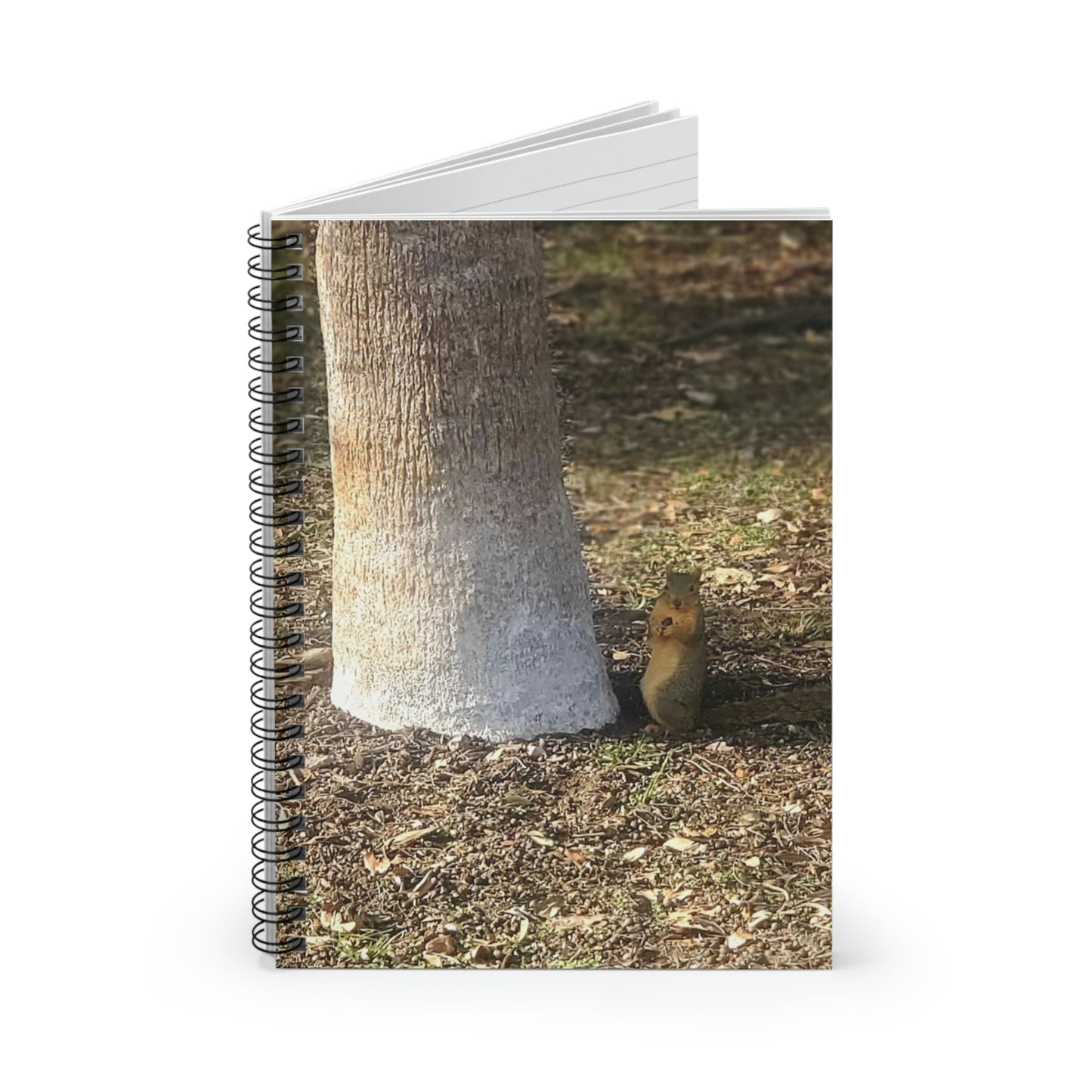 Squirrel and A Nut | Spiral Notebook 118 pg Ruled | Urban Geographic Collection | Life By Ortavia