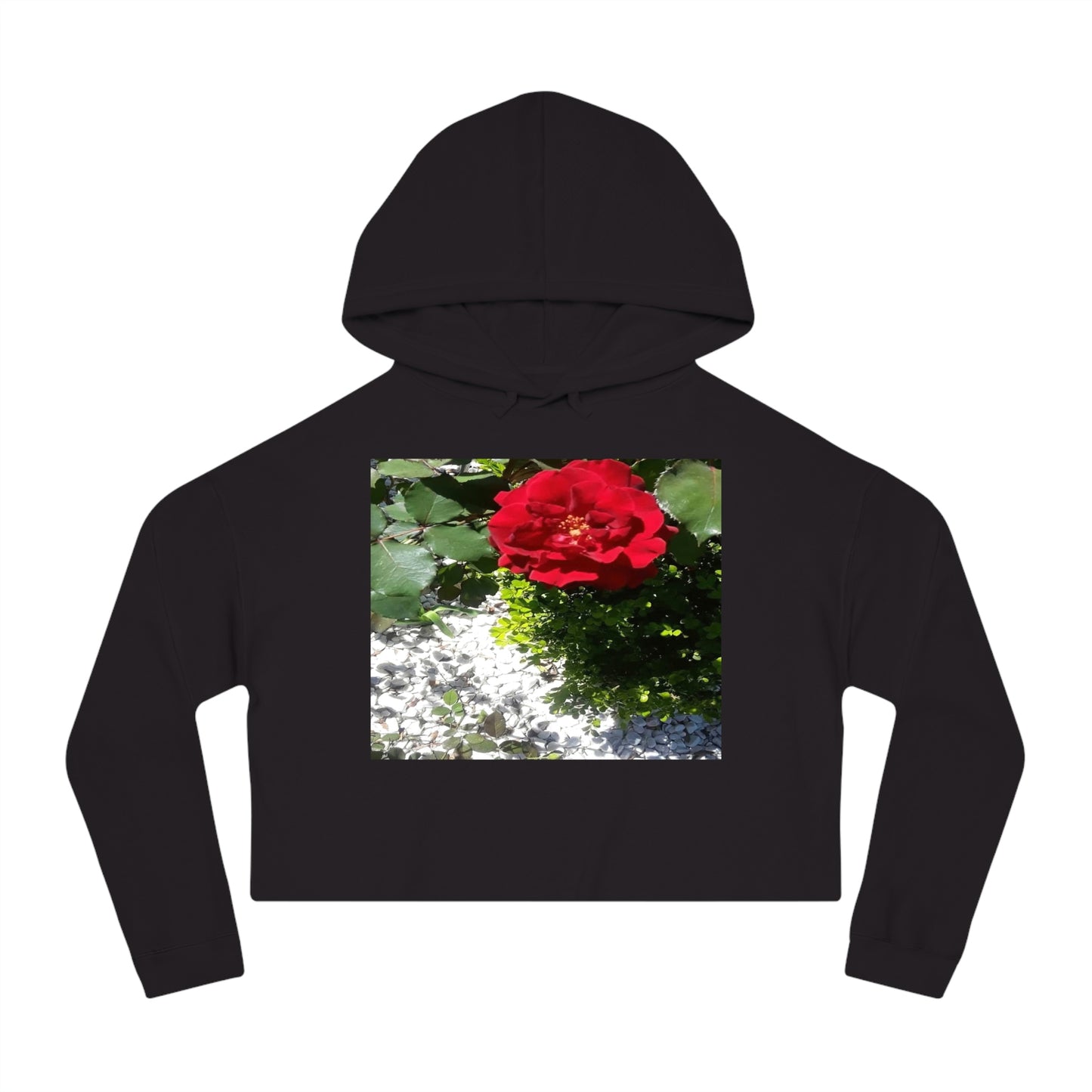 Women’s Cropped Hooded Sweatshirt with Europeana Red Rose Signature Print