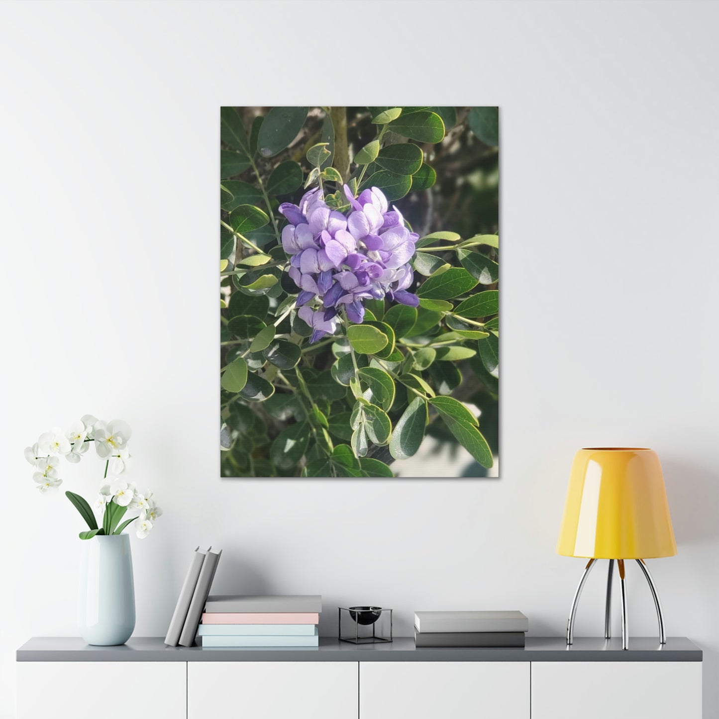 Purple Texas Mountain Laurel | Wall Art Canvas