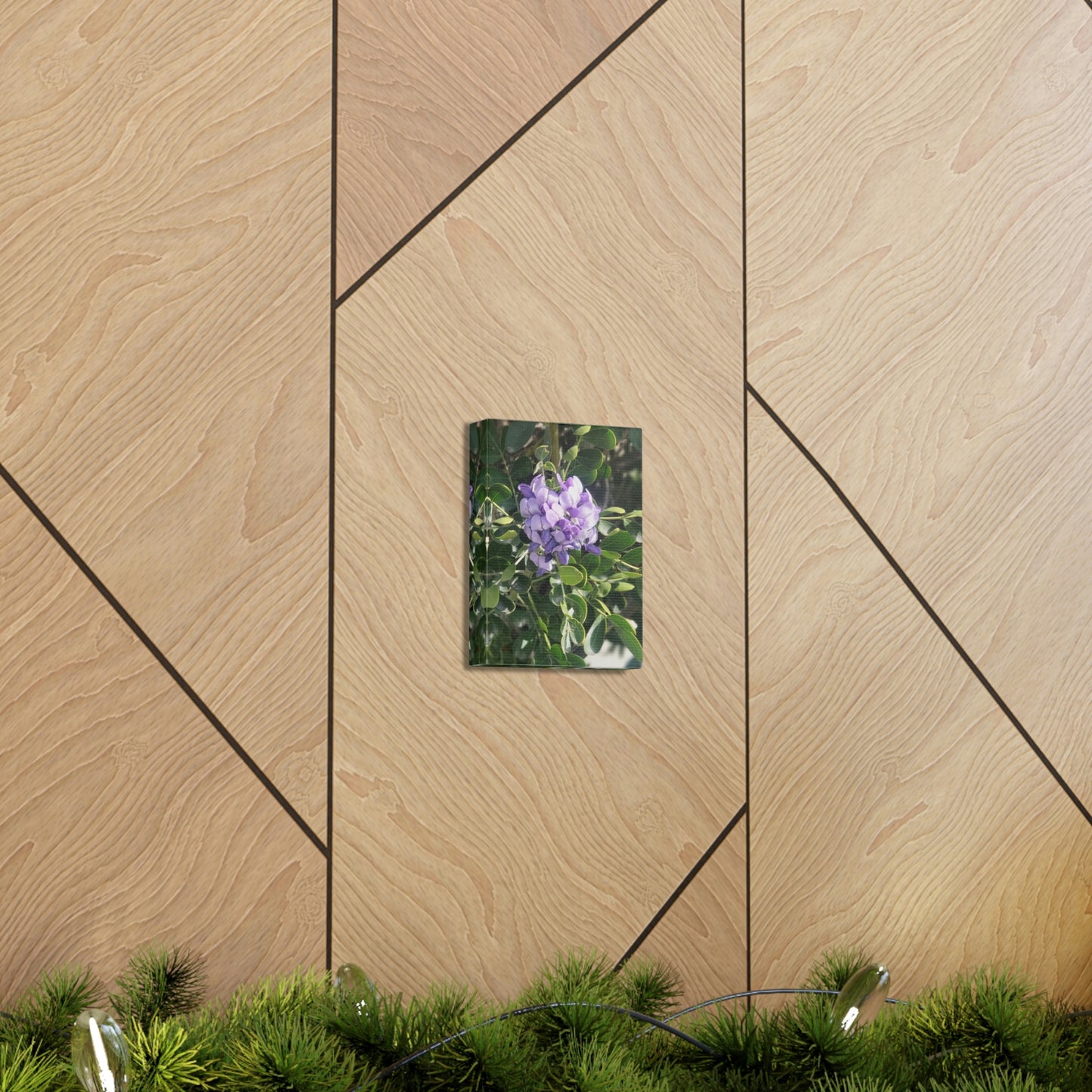 Purple Texas Mountain Laurel | Wall Art Canvas