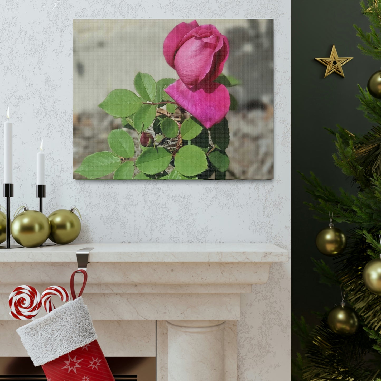 Dear Pink Rosa | High Bloom Collection | Canvas | Life By Ortavia