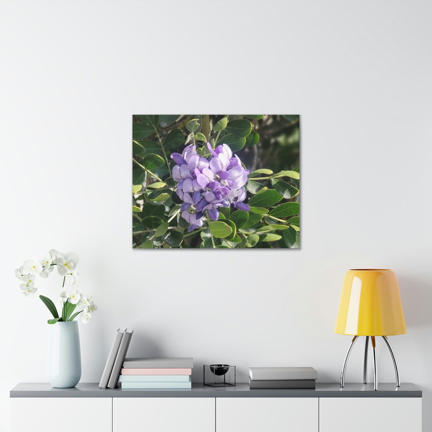 Purple Texas Mountain Laurel | Wall Art Canvas