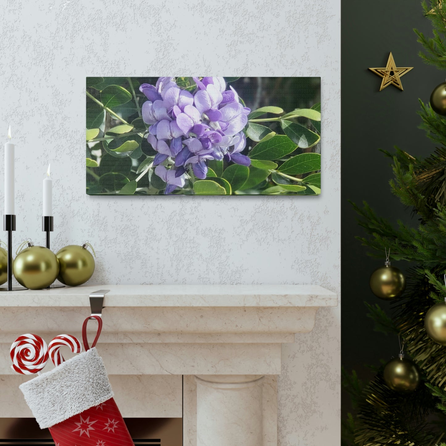 Purple Texas Mountain Laurel | Wall Art Canvas