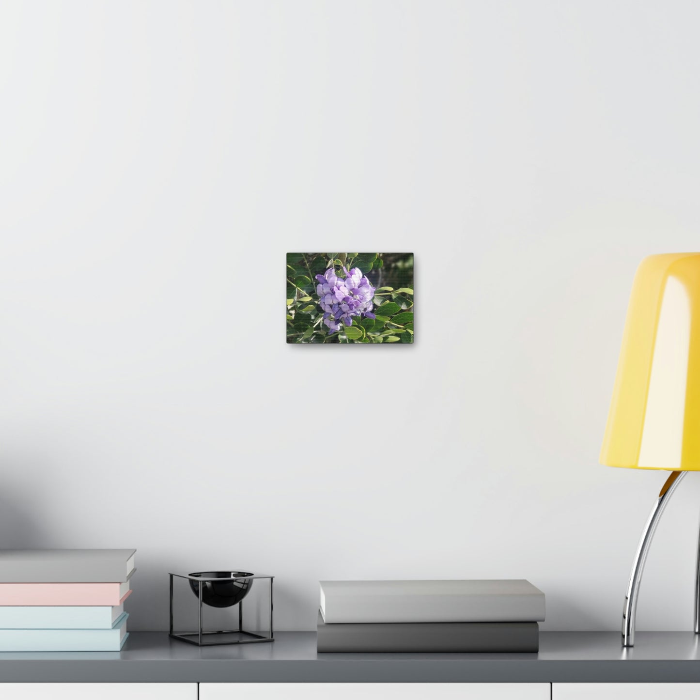 Purple Texas Mountain Laurel | Wall Art Canvas