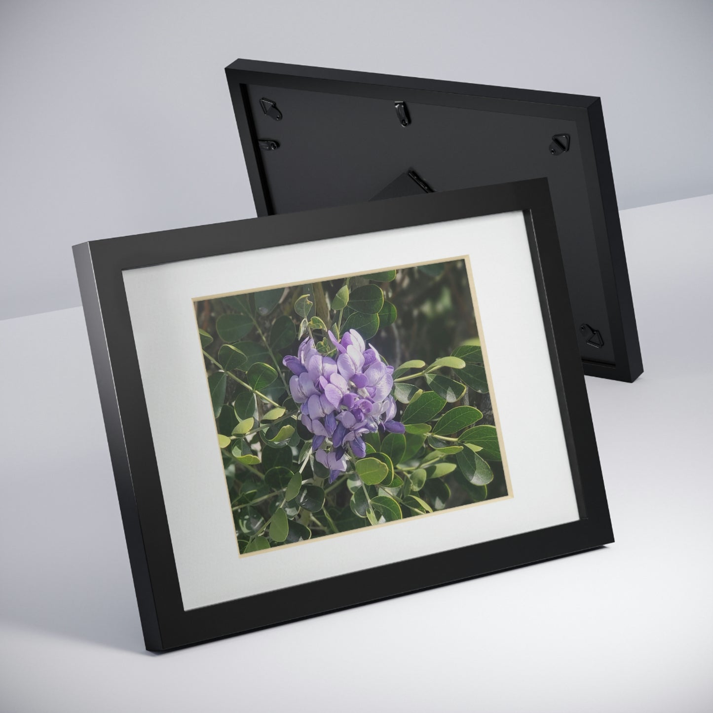 Framed Posters, Black