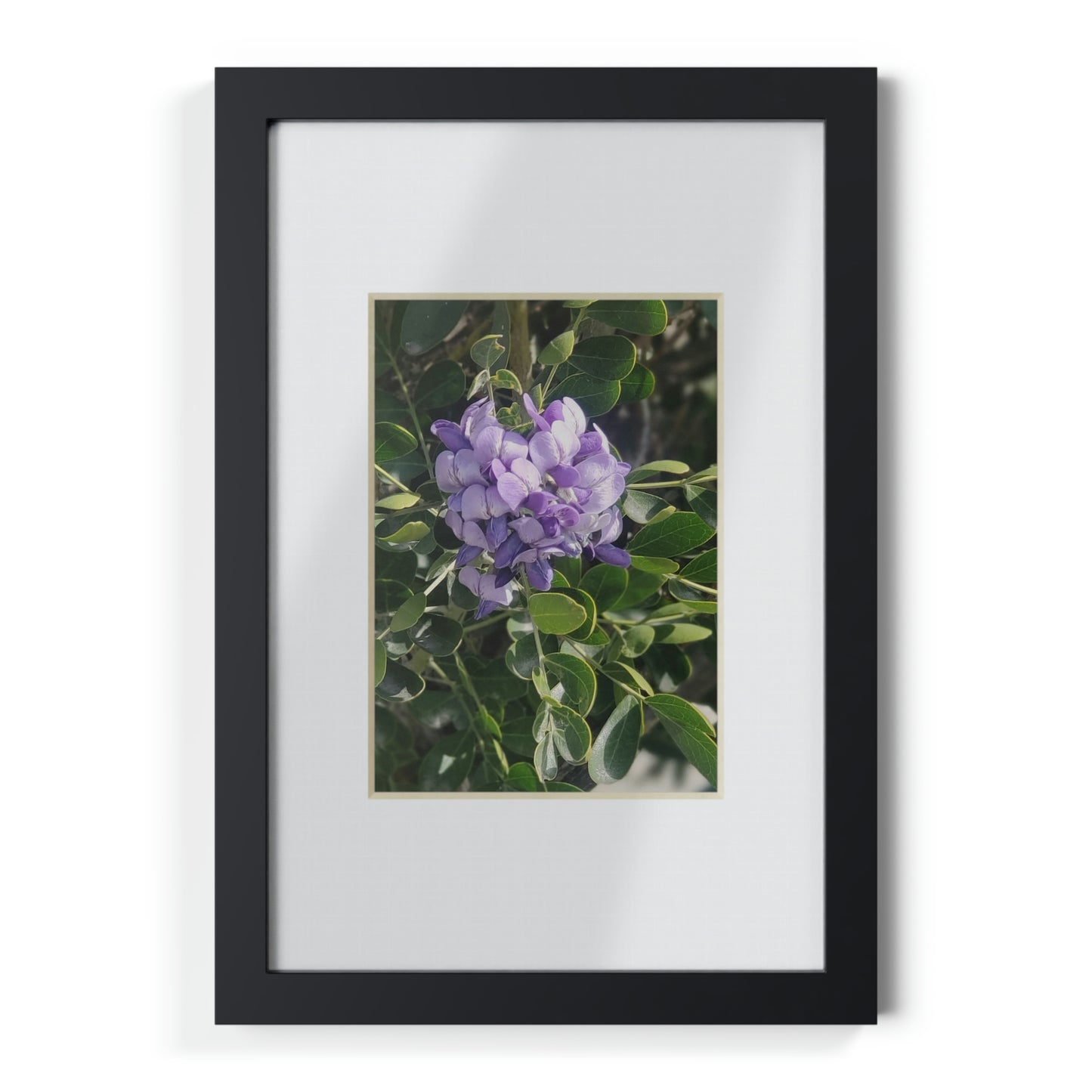 Framed Posters, Black