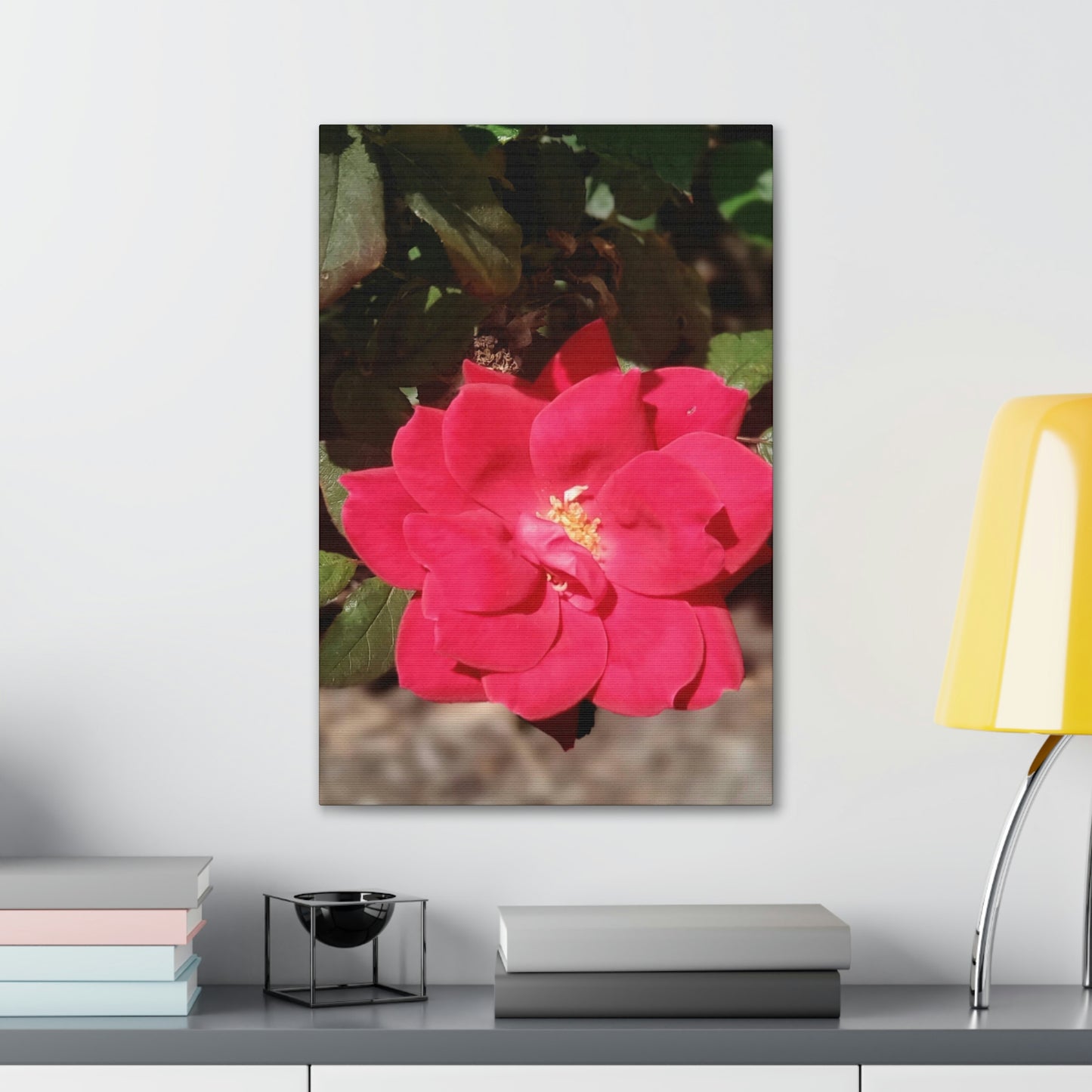 Knockout | Wall Art Print | High Bloom Collection | Life By Ortavia