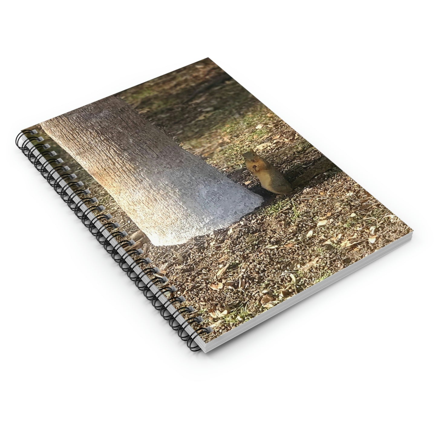Squirrel and A Nut | Spiral Notebook 118 pg Ruled | Urban Geographic Collection | Life By Ortavia
