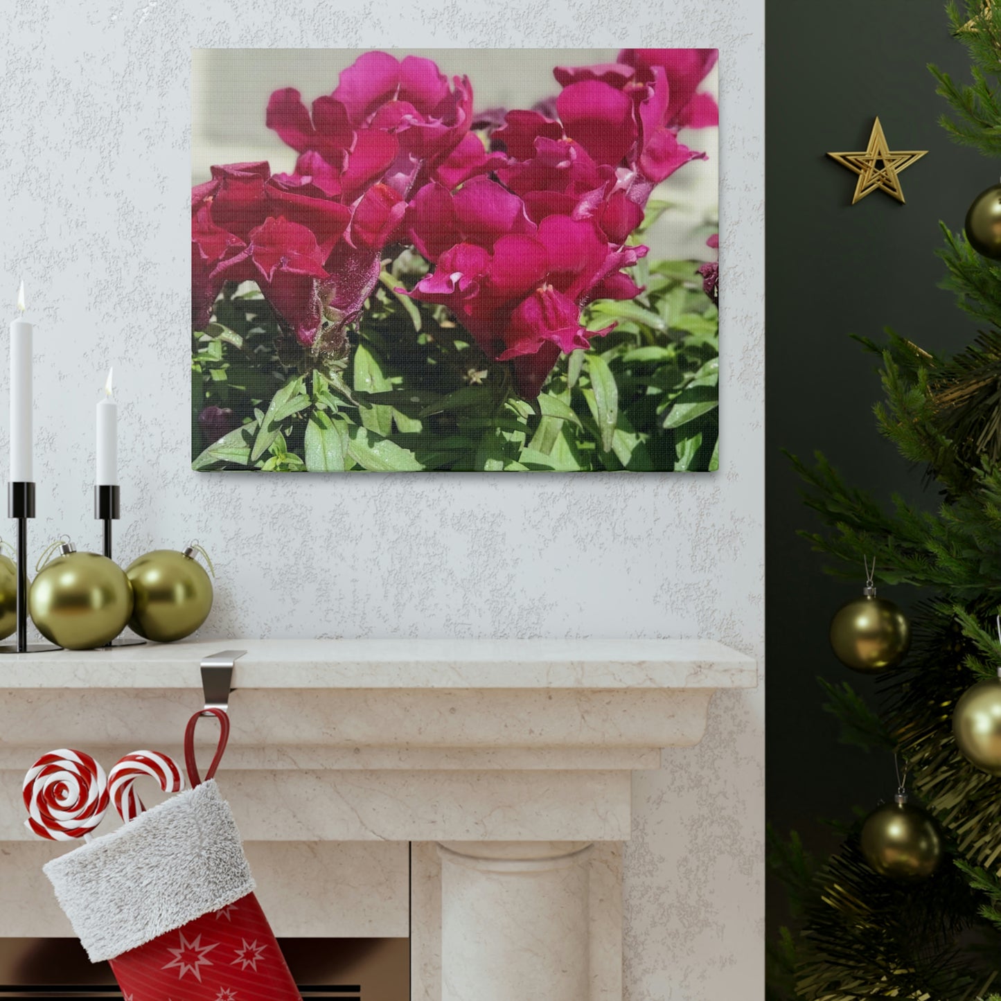Magenta Snapdragon | Wall Art Canvas | High Bloom Collection | Life By Ortavia