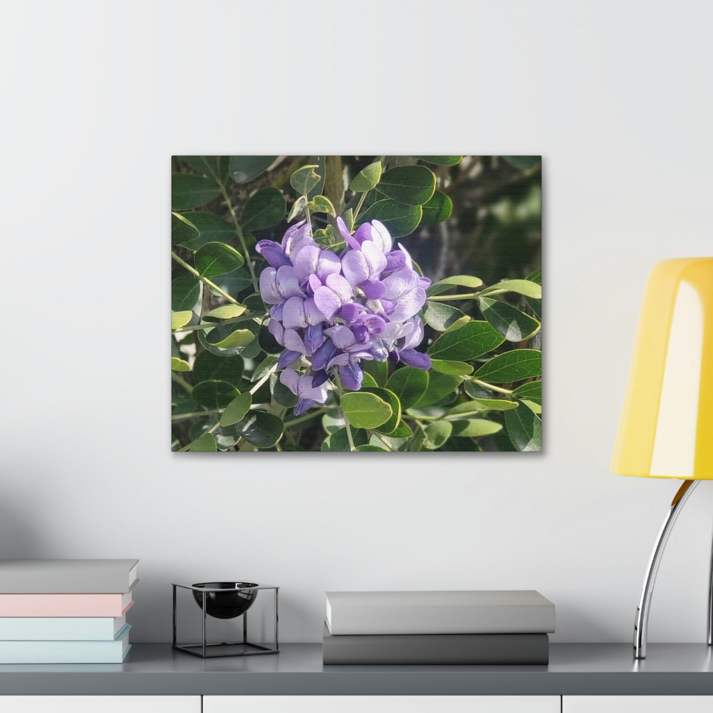 Purple Texas Mountain Laurel | Wall Art Canvas