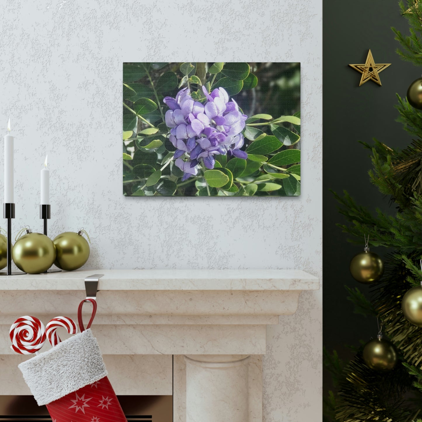 Purple Texas Mountain Laurel | Wall Art Canvas