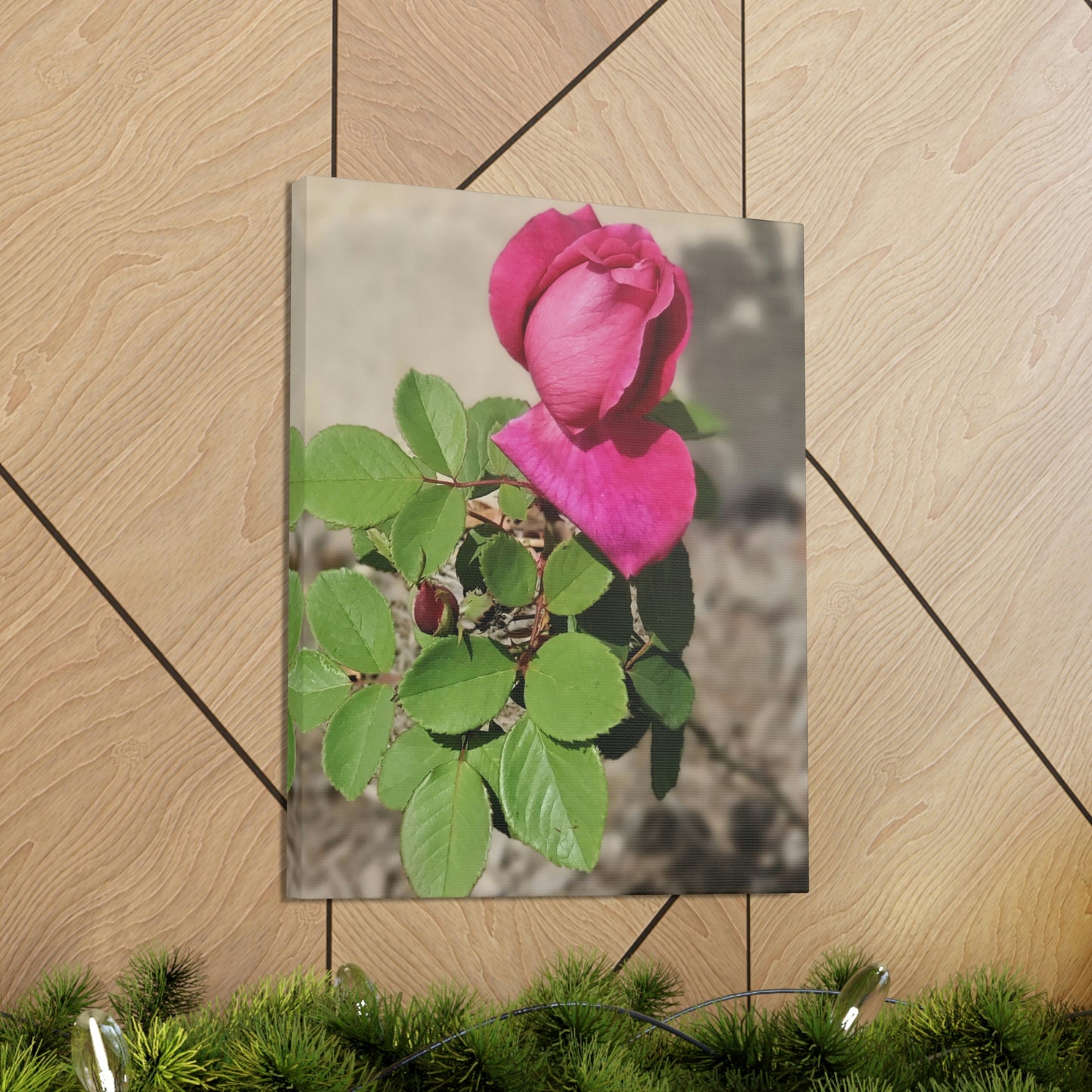 Dear Pink Rosa | High Bloom Collection | Canvas | Life By Ortavia
