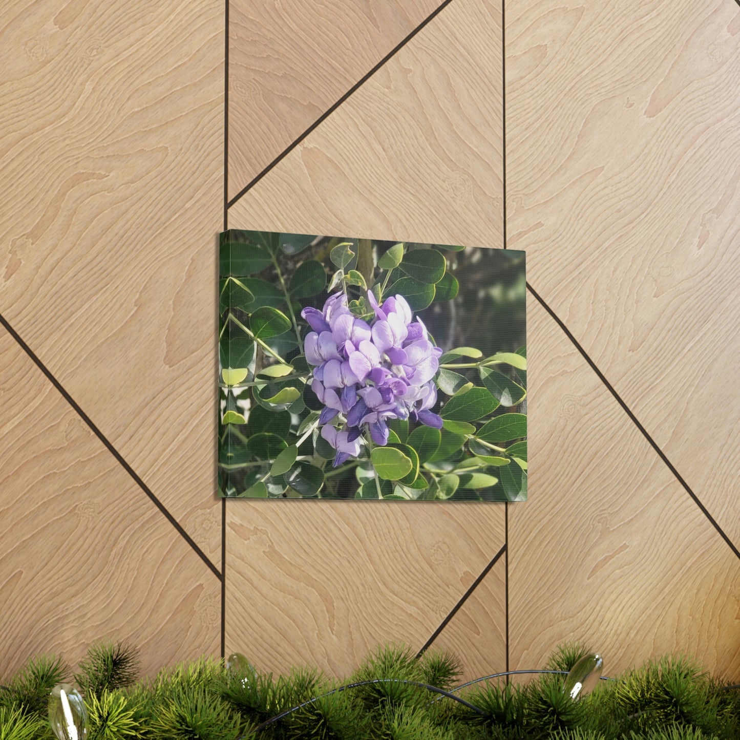 Purple Texas Mountain Laurel | Wall Art Canvas