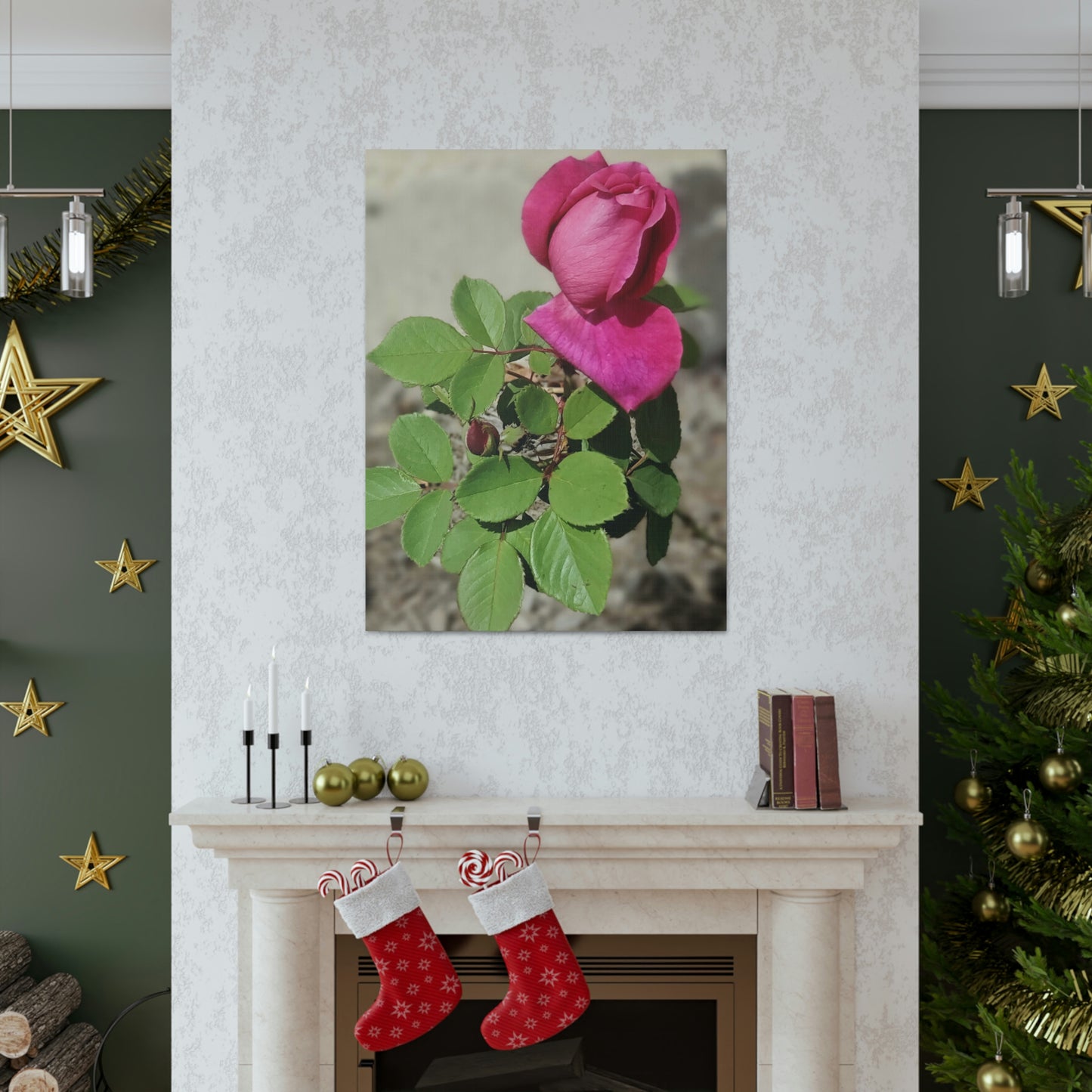 Dear Pink Rosa | High Bloom Collection | Canvas | Life By Ortavia