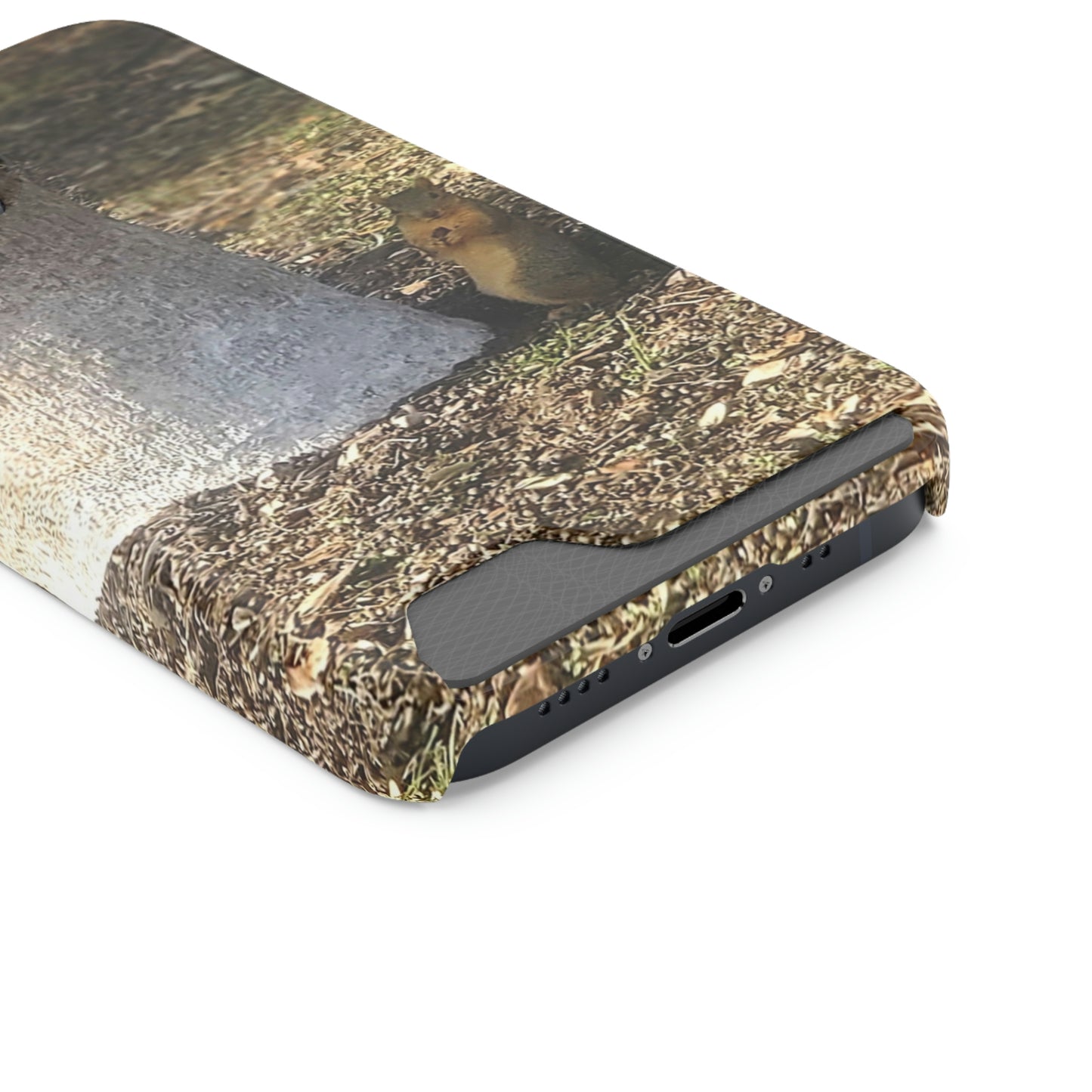 Squirrel and A Nut | Phone Case with Card Holder | Urban Geographic Collection | Life By Ortavia
