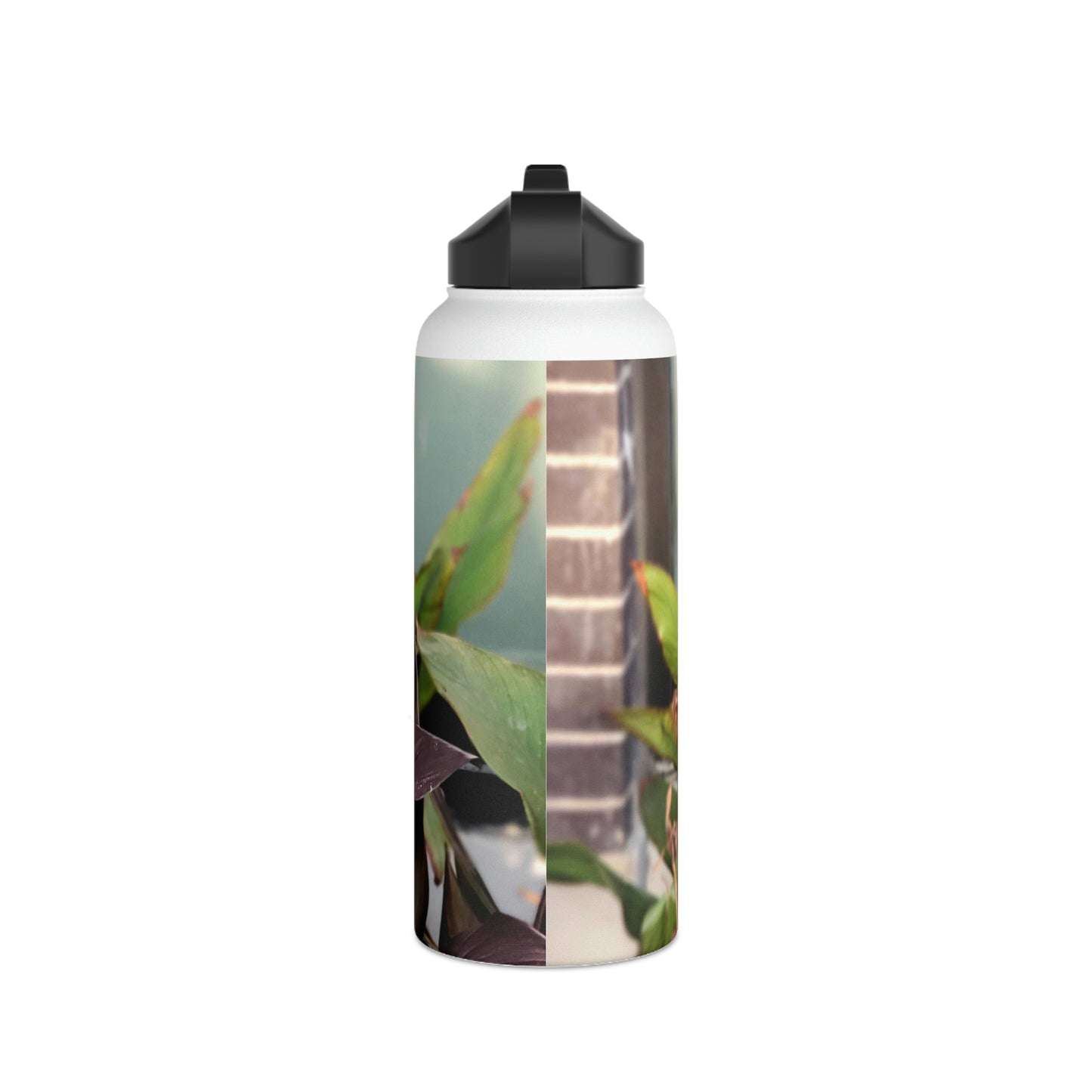 Red Canna | Stainless Steel Water Bottle, Standard Lid | High Bloom Collection | Life By Ortavia