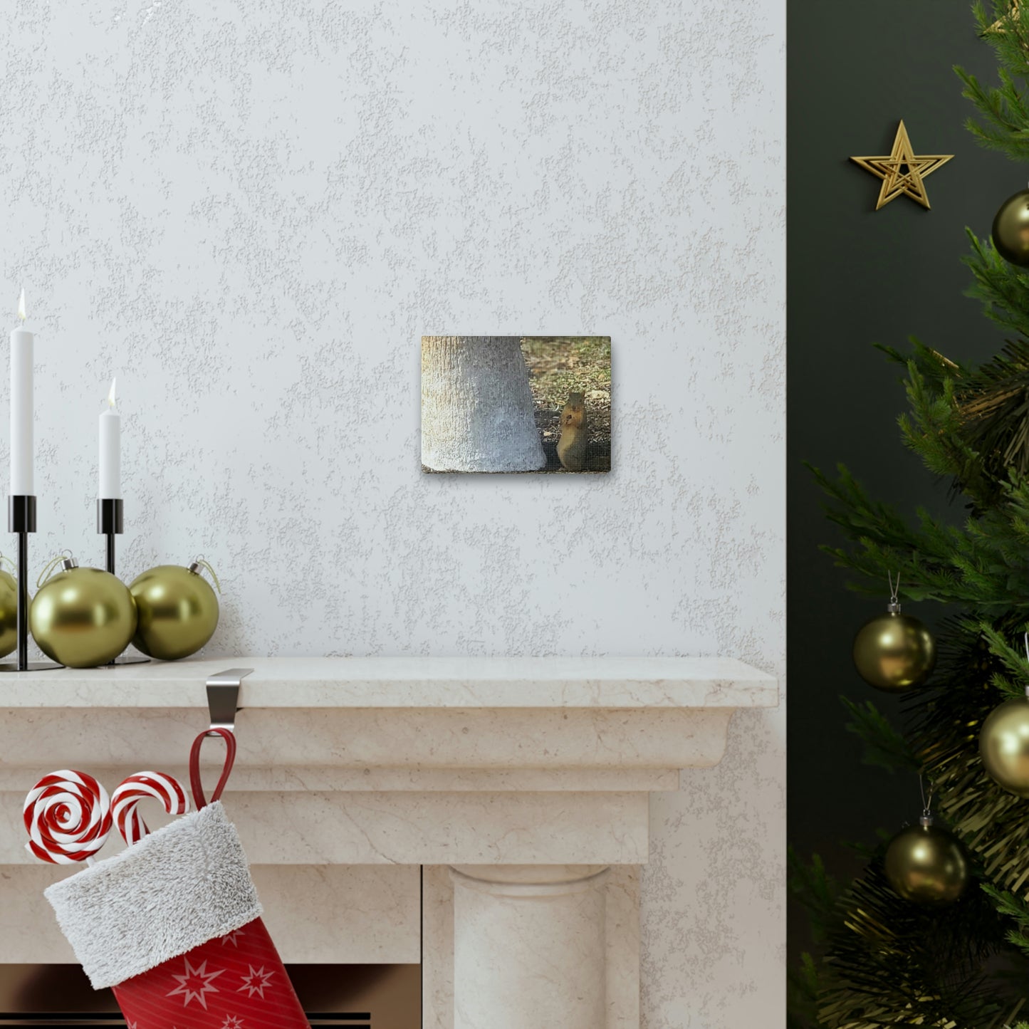 Squirrel and A Nut | Wall Art Print | Urban Geographic Collection | Life By Ortavia