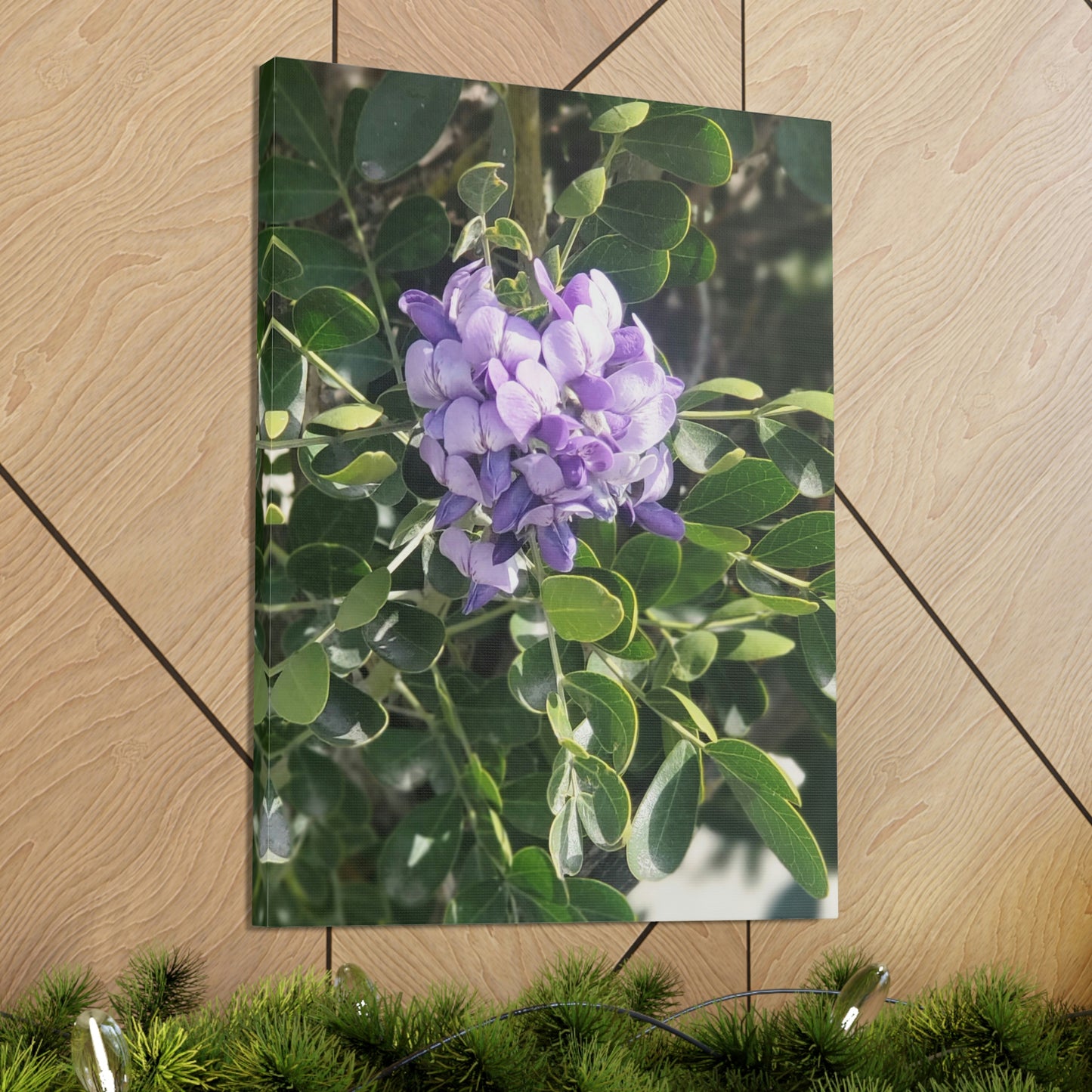 Purple Texas Mountain Laurel | Wall Art Canvas
