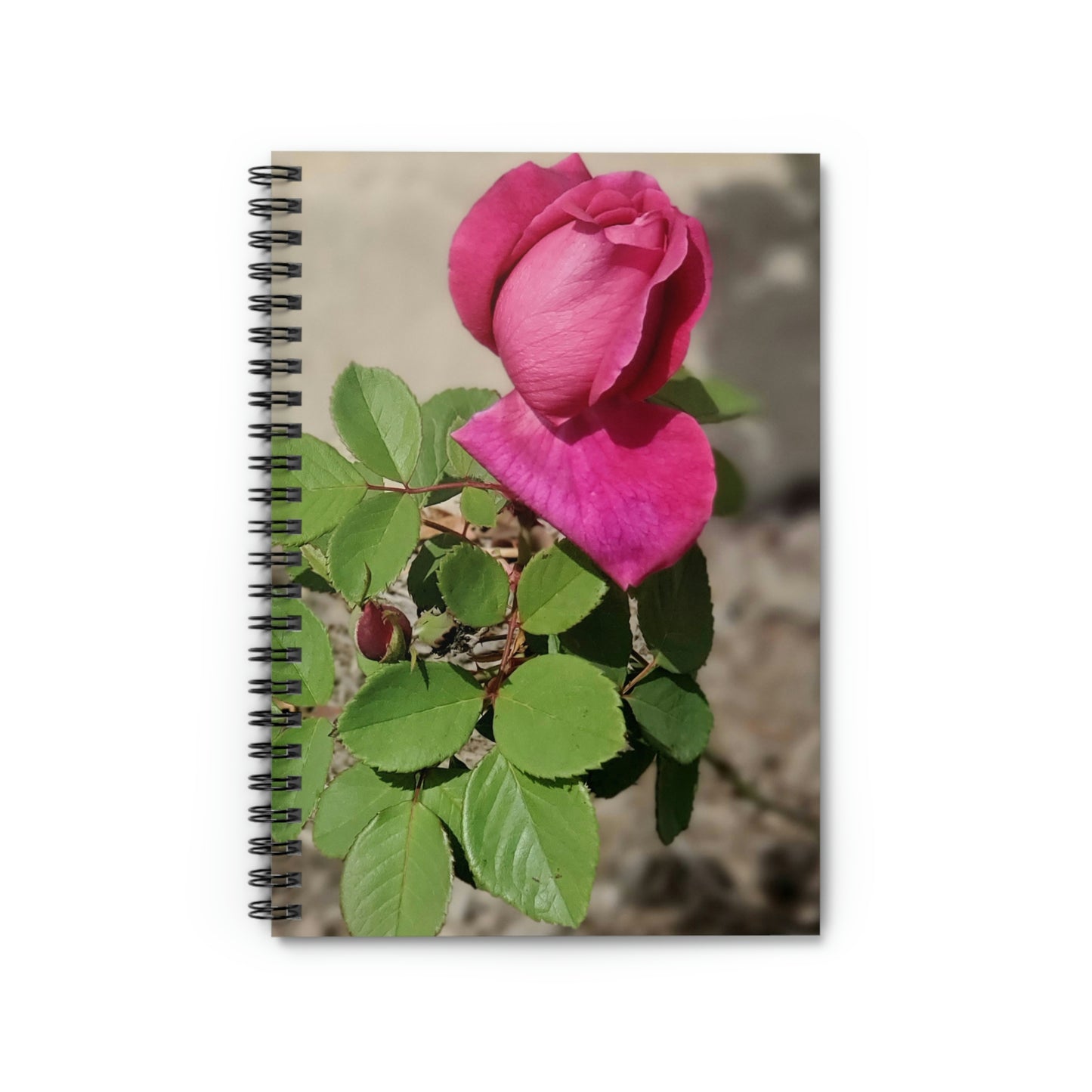 Dear Pink Rosa | Spiral Notebook 118 pg Ruled | High Bloom Collection | Life By Ortavia