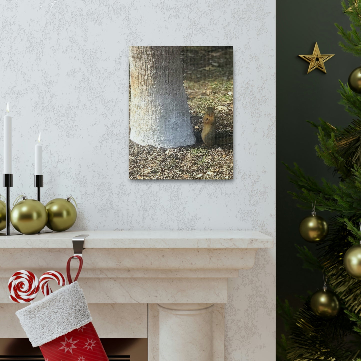 Squirrel and A Nut | Wall Art Print | Urban Geographic Collection | Life By Ortavia