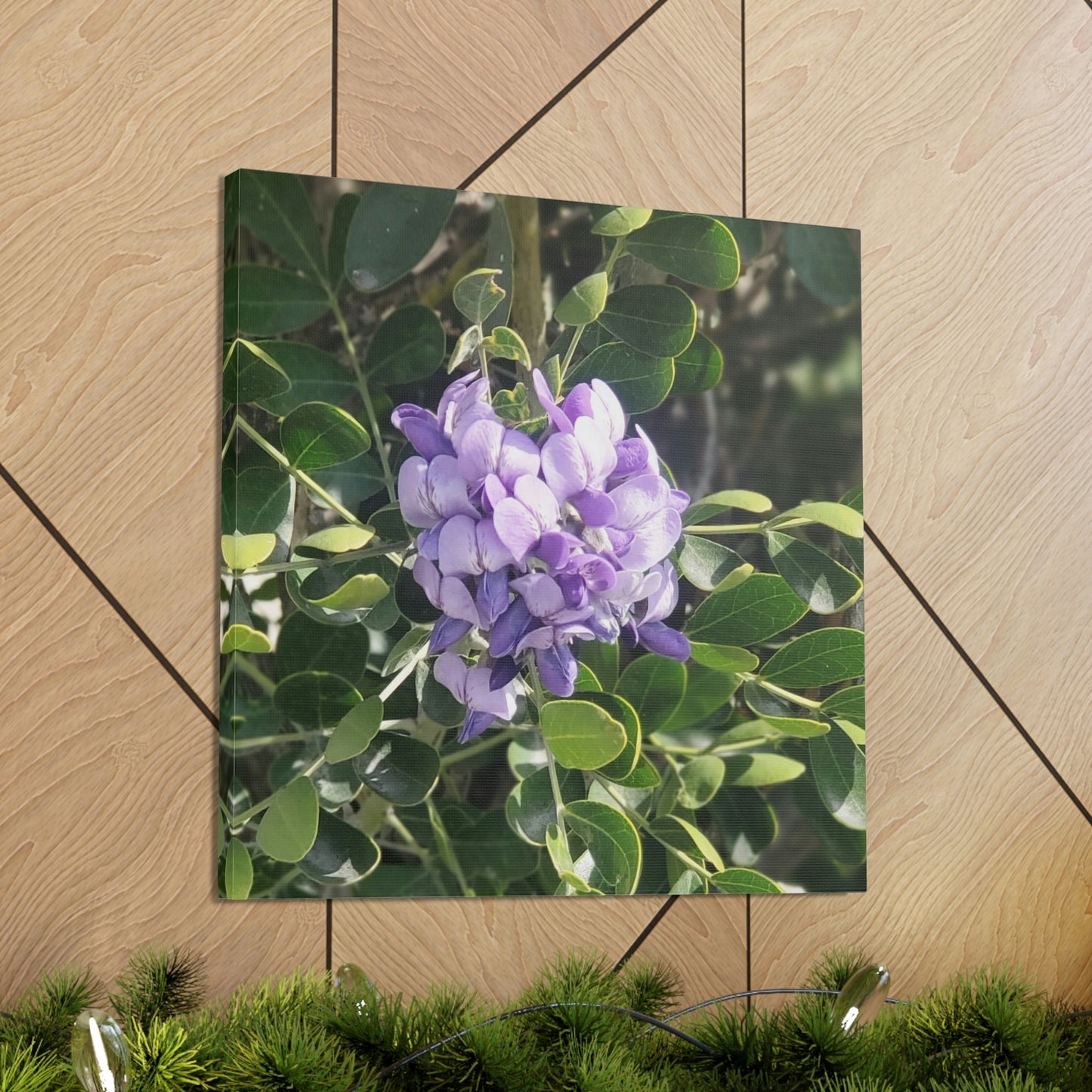 Purple Texas Mountain Laurel | Wall Art Canvas