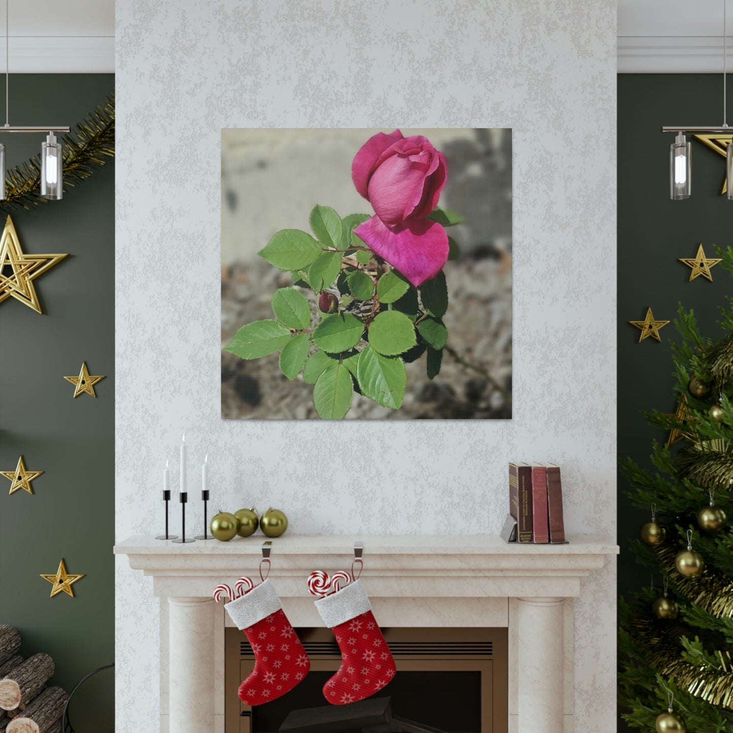 Dear Pink Rosa | High Bloom Collection | Canvas | Life By Ortavia