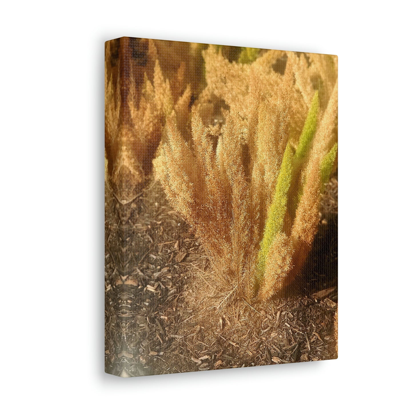 Golden Foxtail Fern | Wall Art Canvas | High Bloom Collection | Life By Ortavia